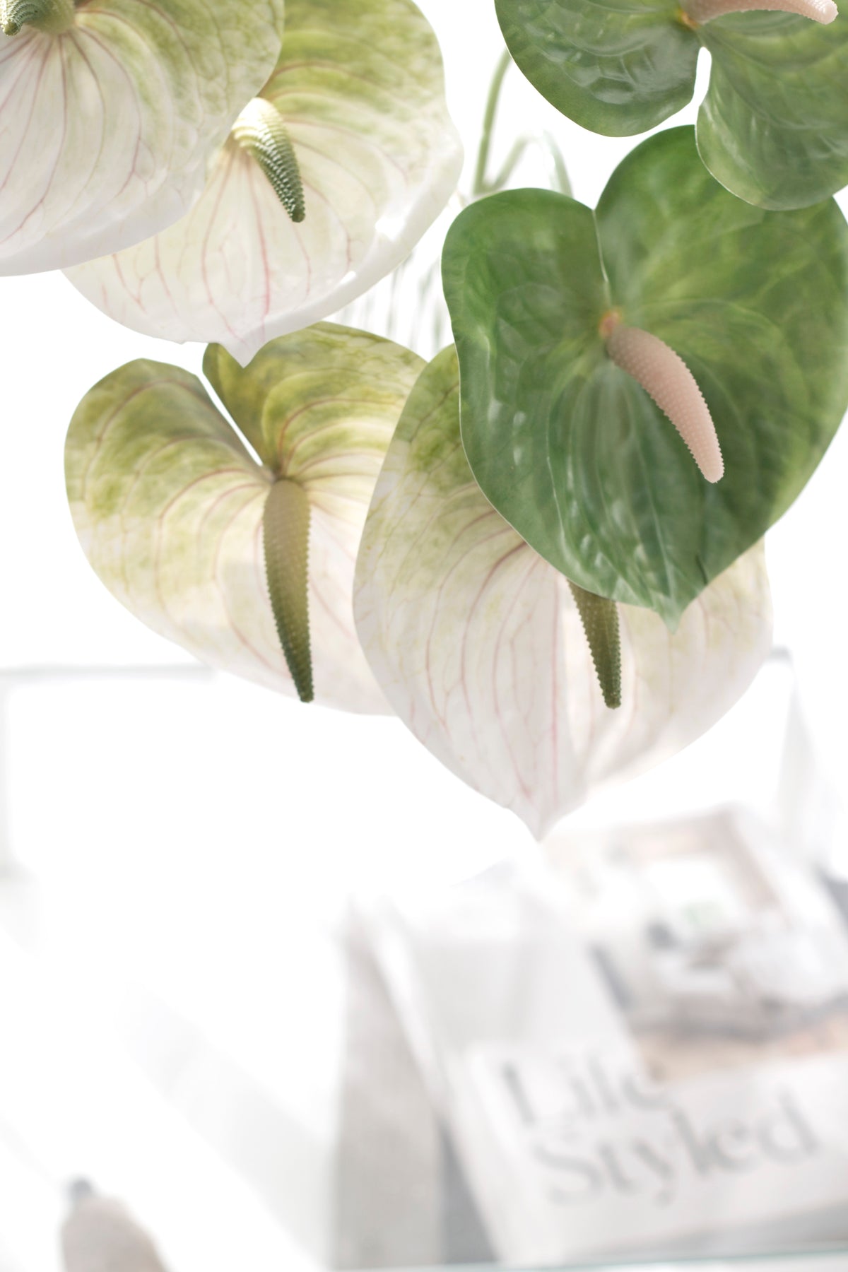 Anthurium Stem, White, Green or Variegated Faux Flower