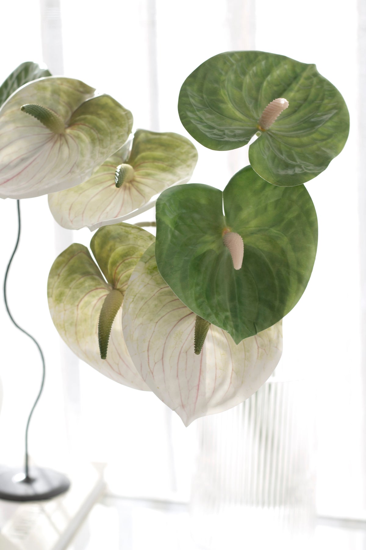 Anthurium Stem, White, Green or Variegated Faux Flower