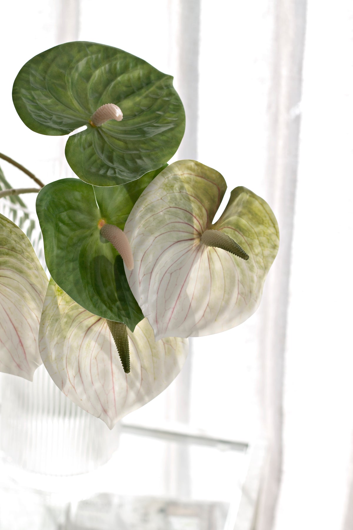 Anthurium Stem, White, Green or Variegated Faux Flower