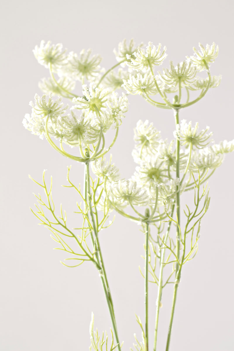 Dill Spray White