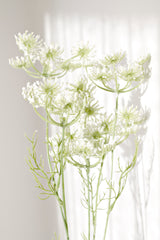 Dill Spray White