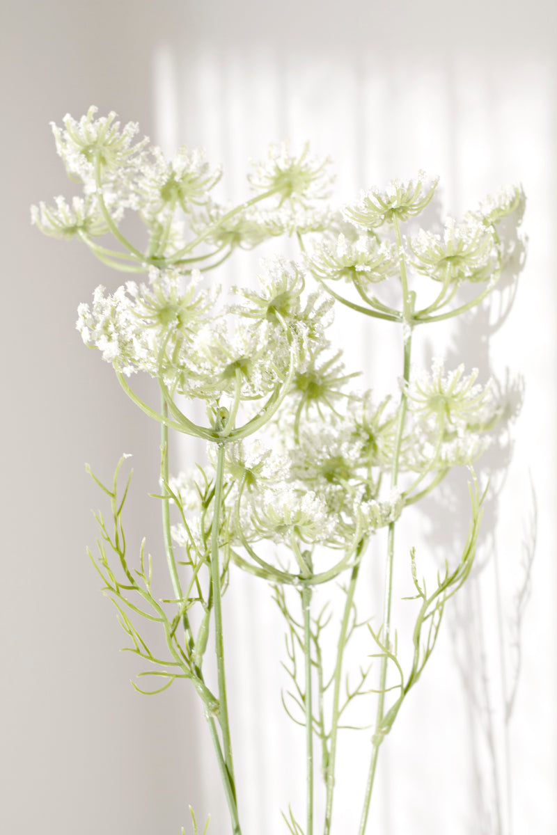 Dill Spray White