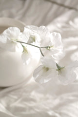 Sweet Pea Cream Faux Stem | 63cm