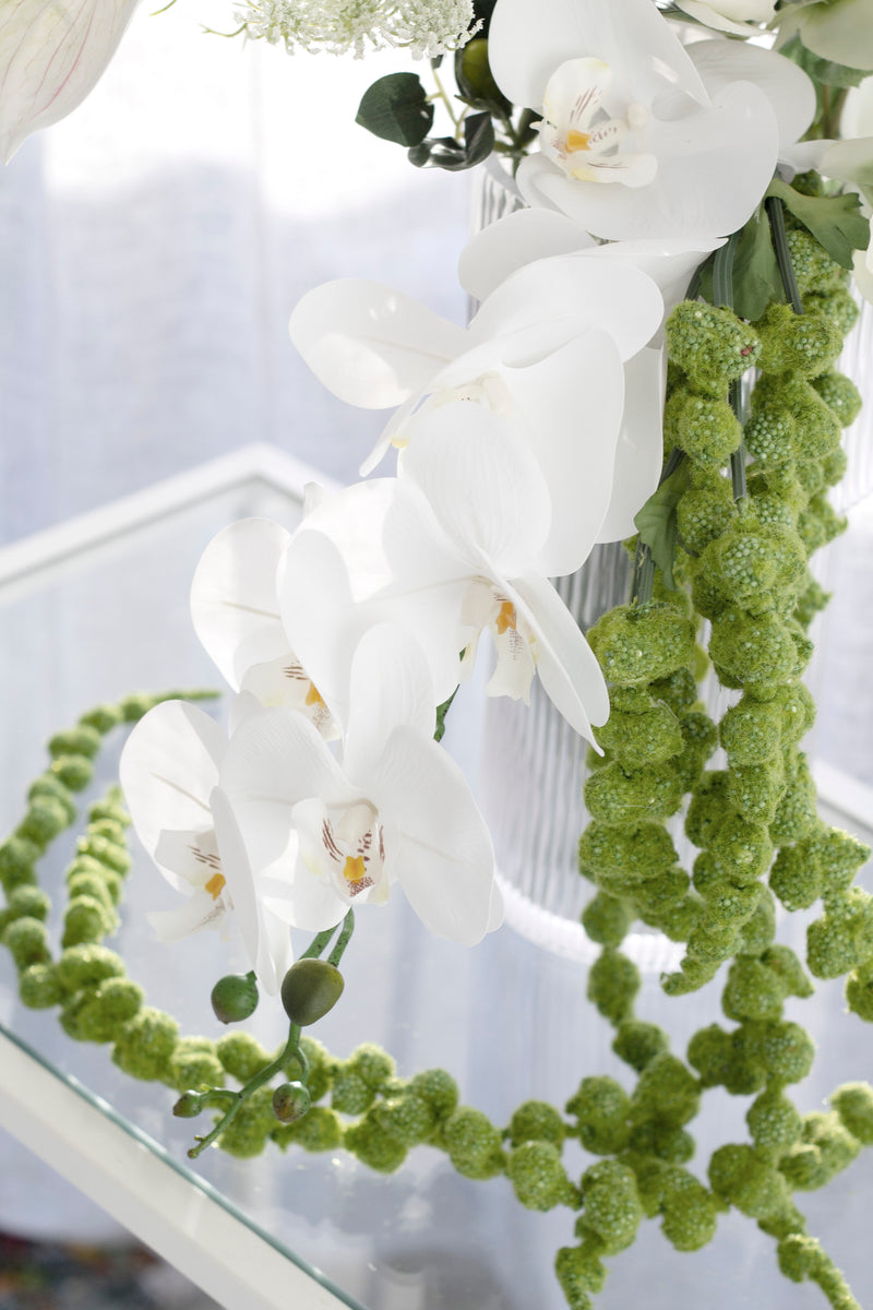 Phalaenopsis Orchid White 86cm