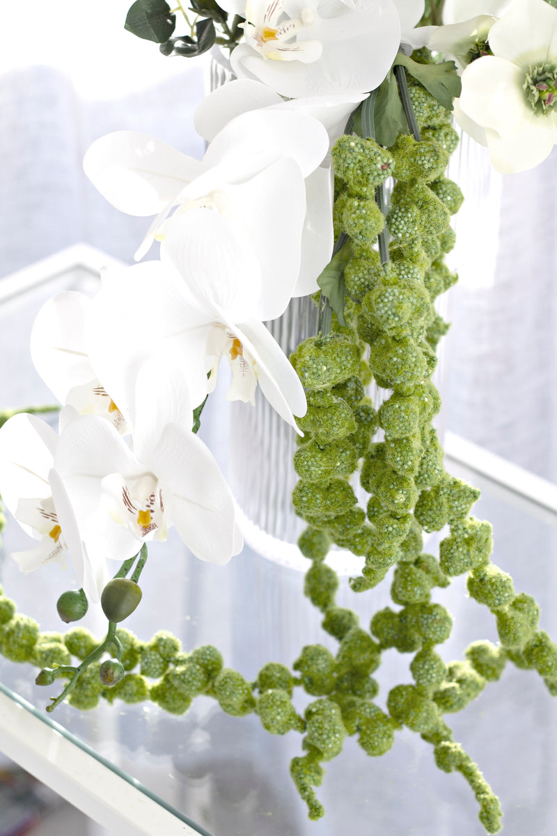 Phalaenopsis Orchid White 86cm