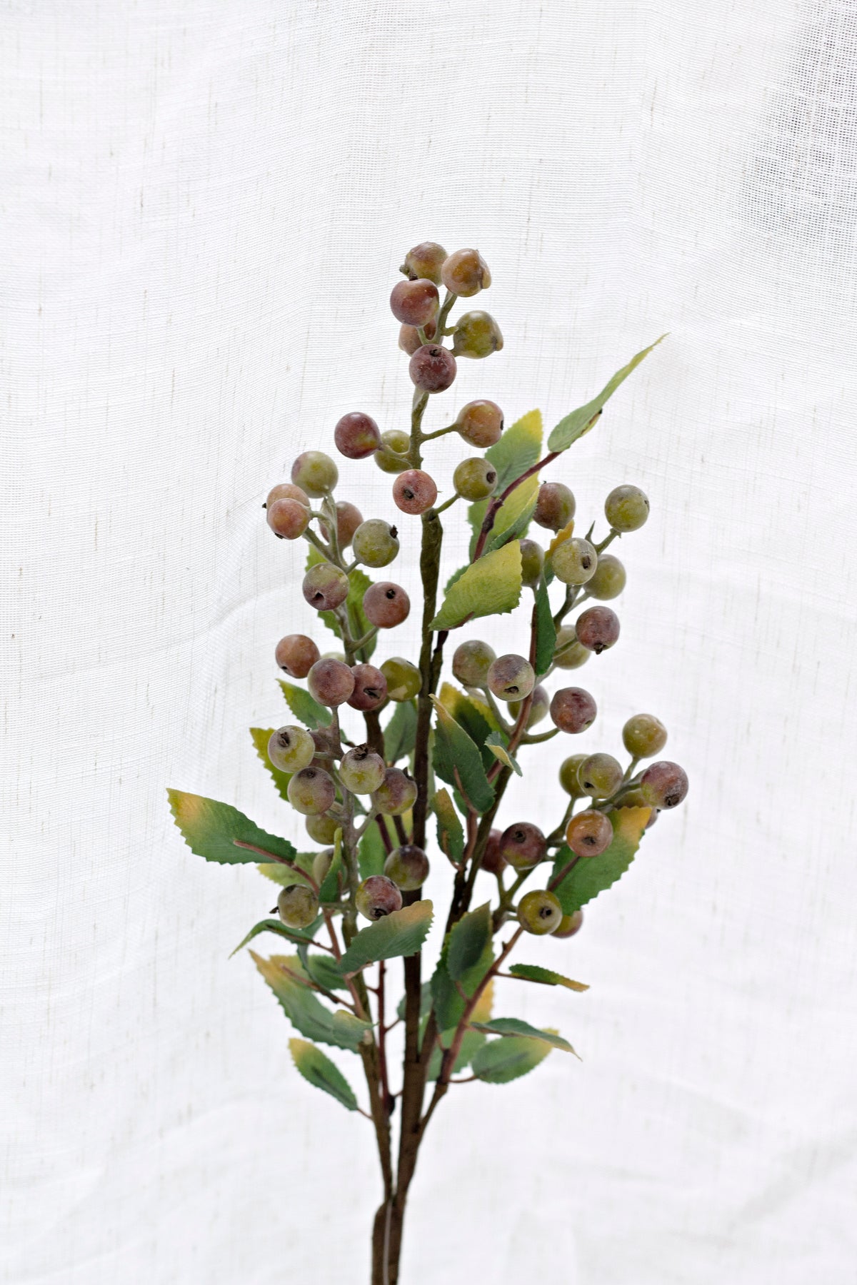 Summer berry branch standing upright against white linen with berries in coffee tones