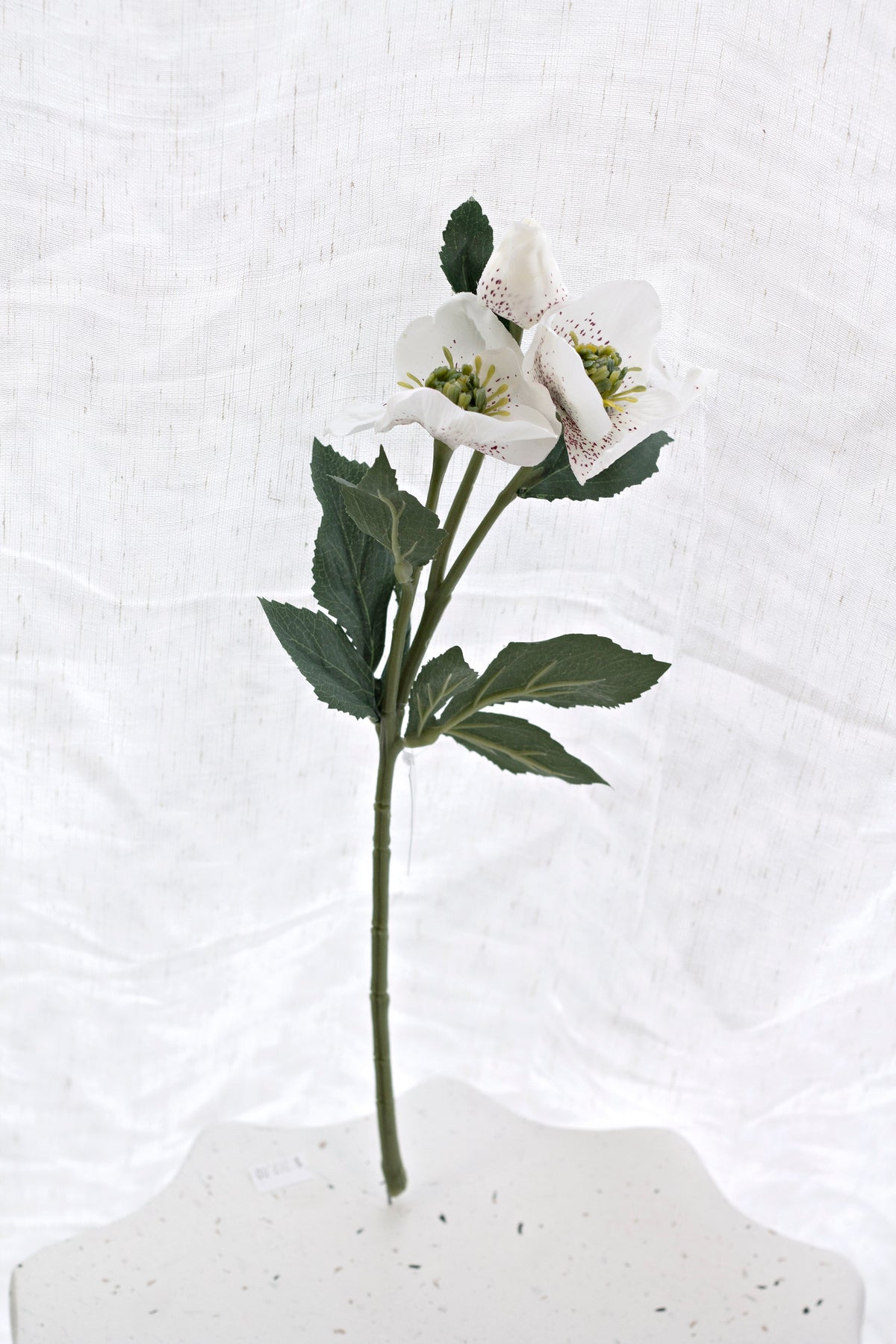 Garden Hellebore Stem, White 40cm Faux Flower