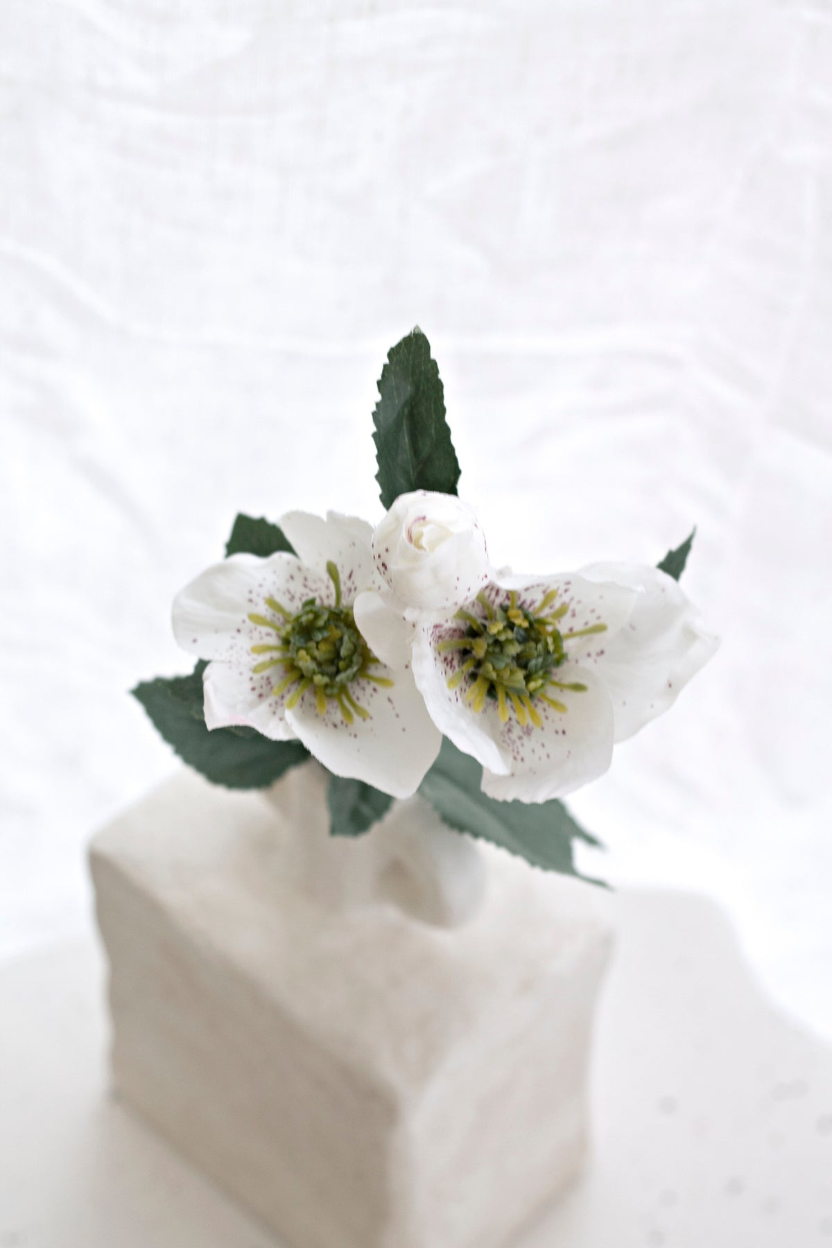Garden Hellebore Stem, White 40cm Faux Flower