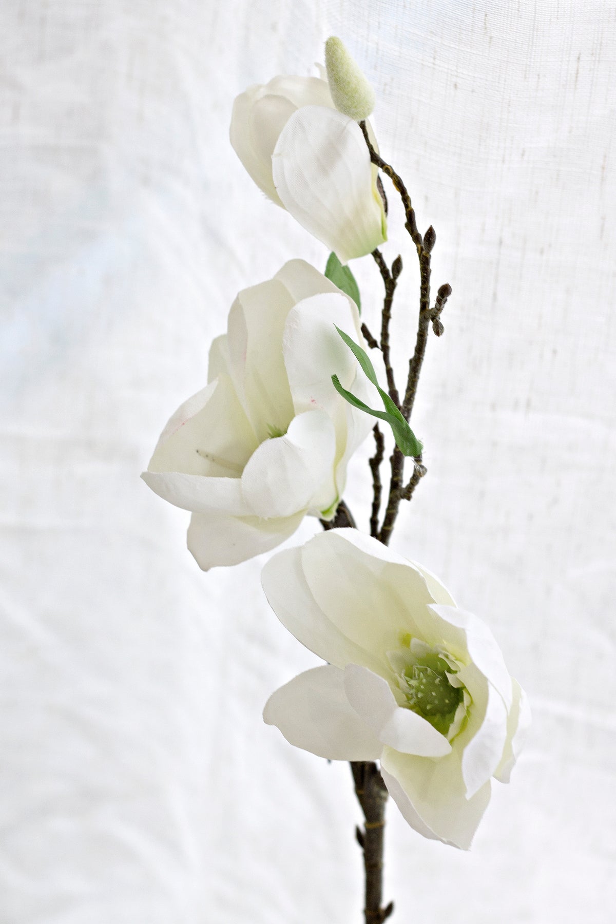 Evergreen Magnolia, White 43cm Faux Stem