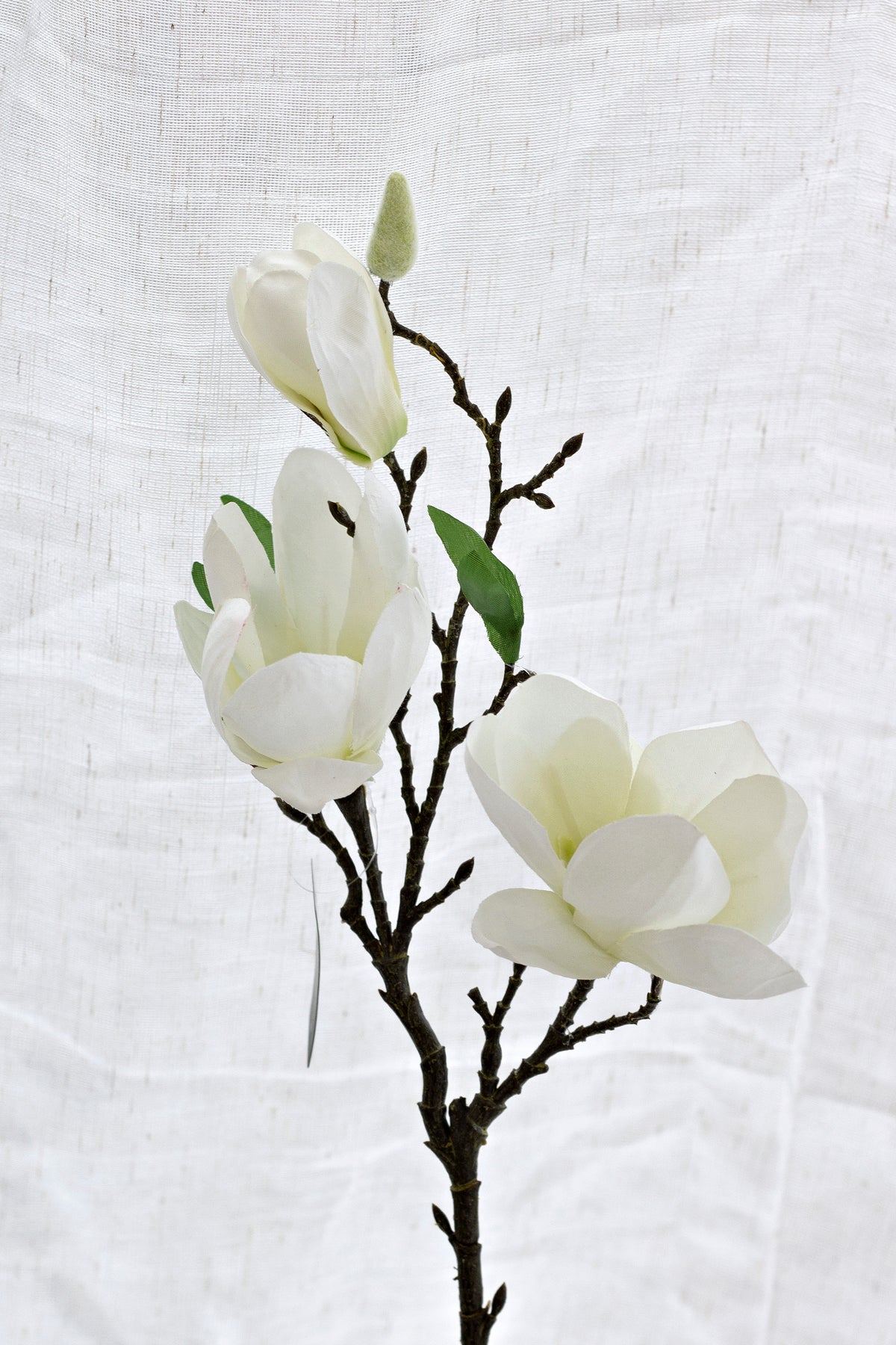 Evergreen Magnolia, White 43cm Faux Stem