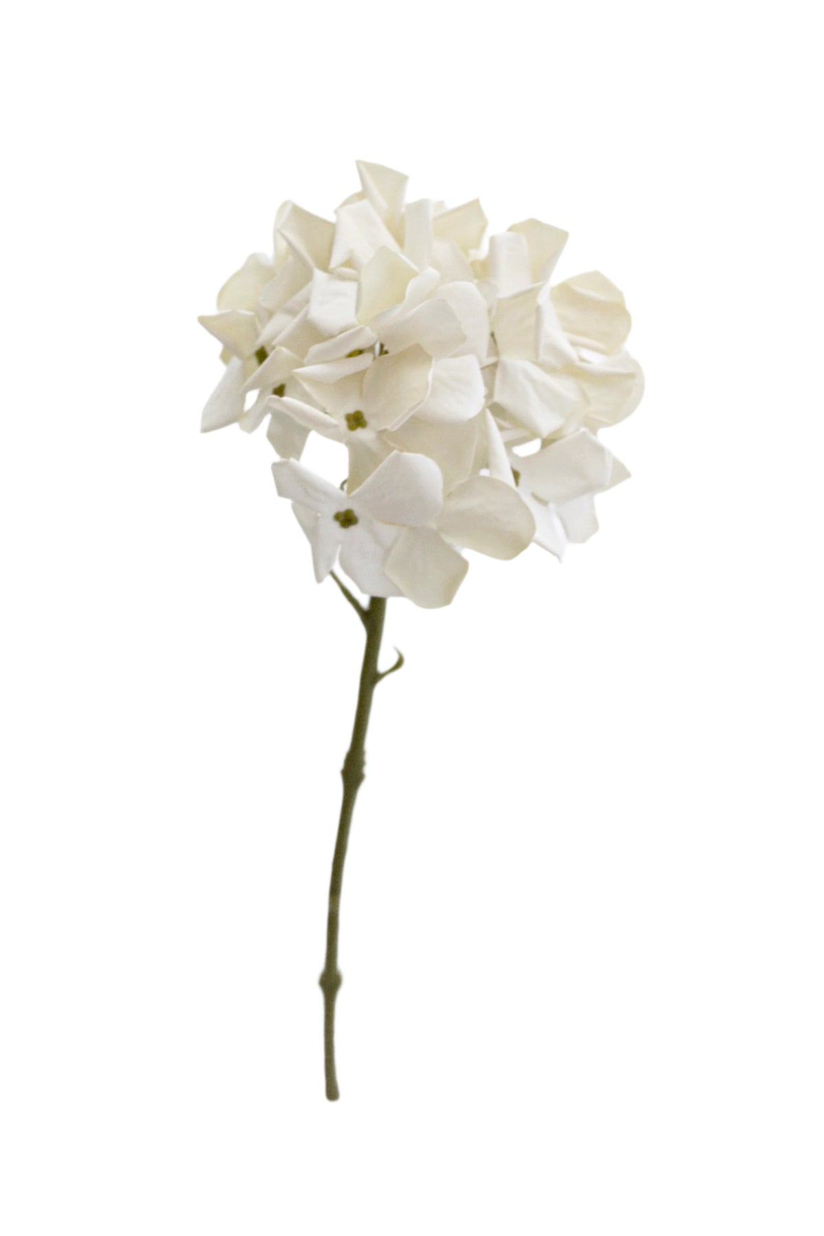 Petite faux hydrangea stem on a white background
