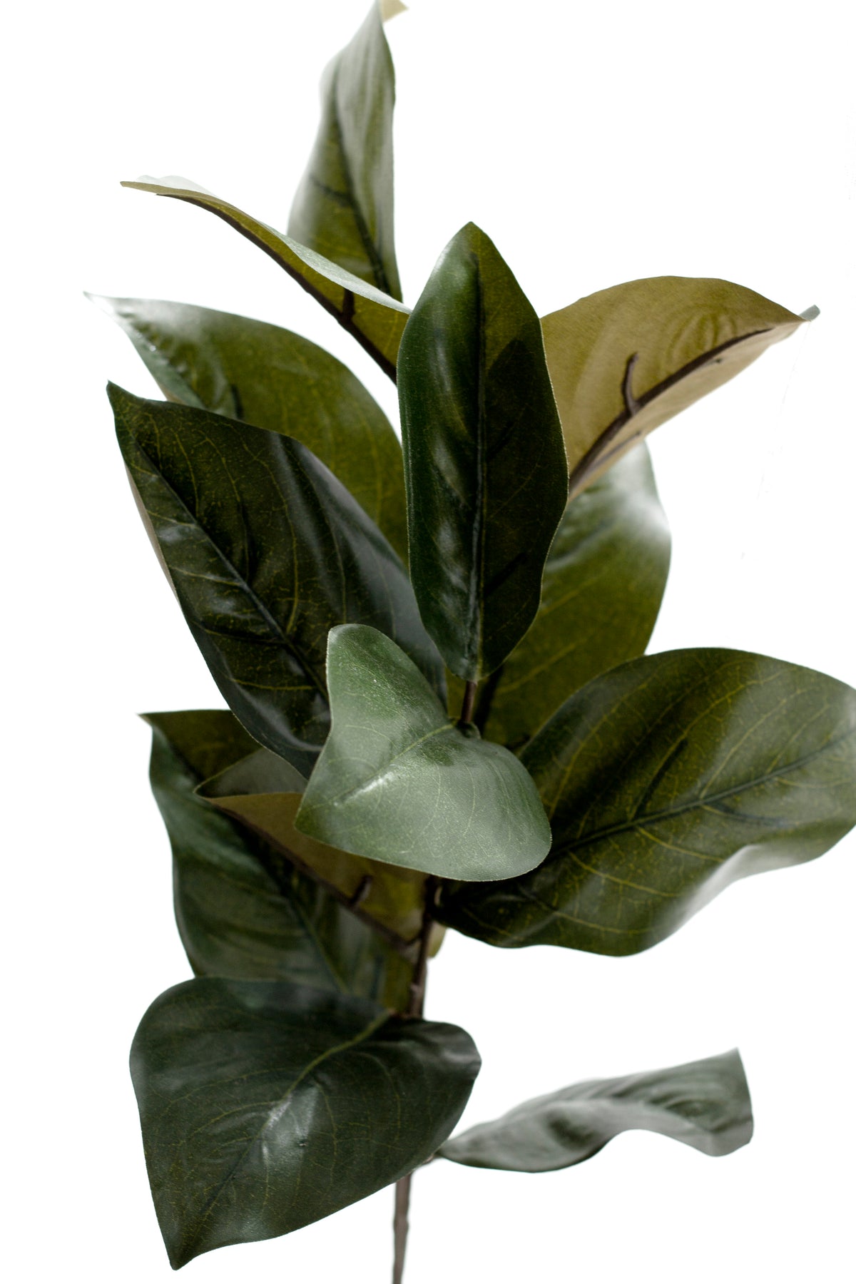 Magnolia Leaf Spray, 76cm Faux Foliage Stem
