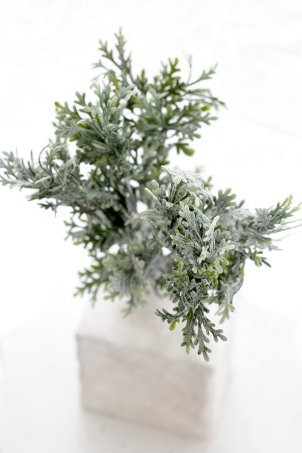 Flocked Dusty Miller Bush