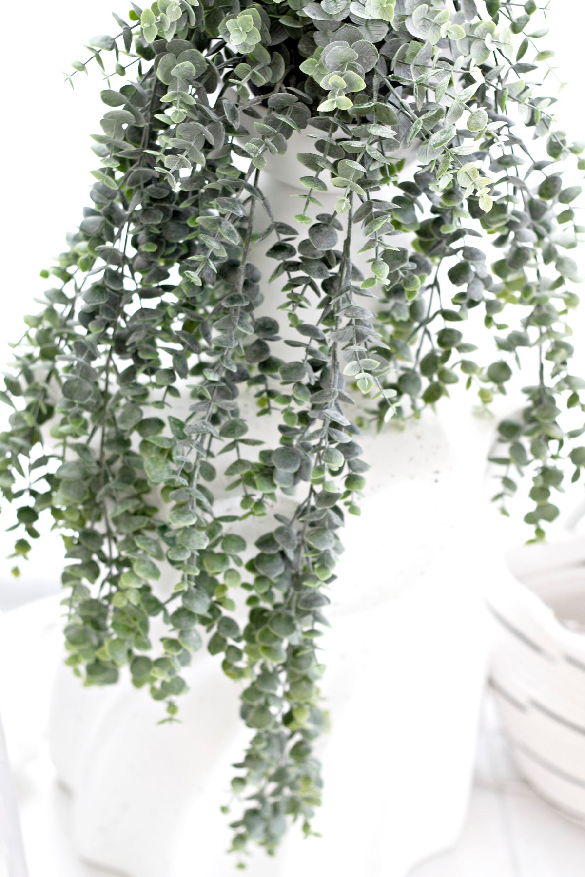 Close view of grey-green eucalyptus leaves spilling from a pale pot over folded white towels