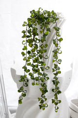 Hanging Shell Plant 90cm