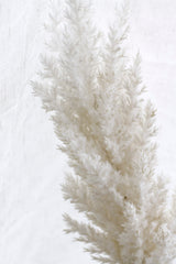 Dried-Look Astilbe Spray - Cream / Brown