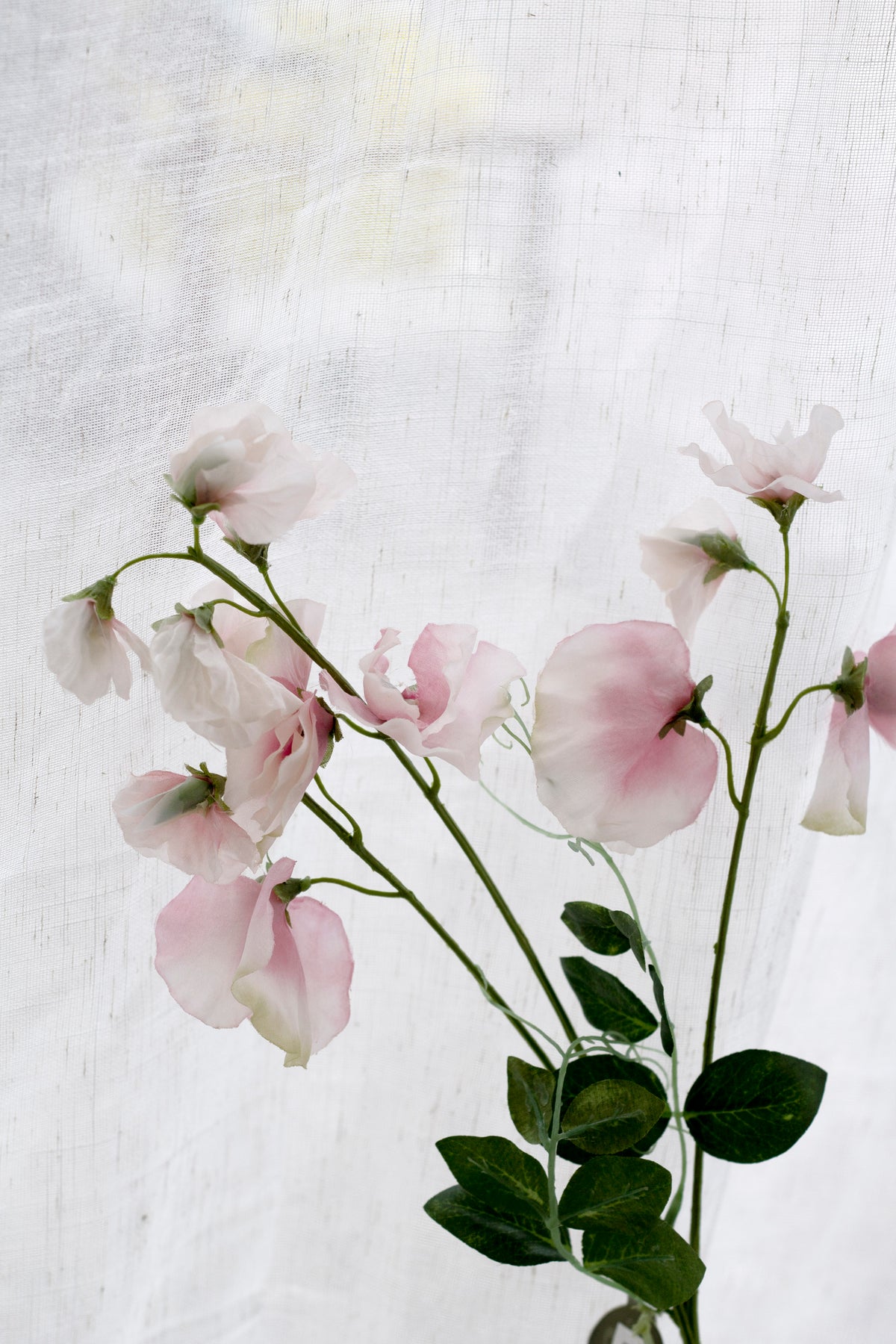 Sweet Pea Spray, Cream or Pink 68cm Faux Stem