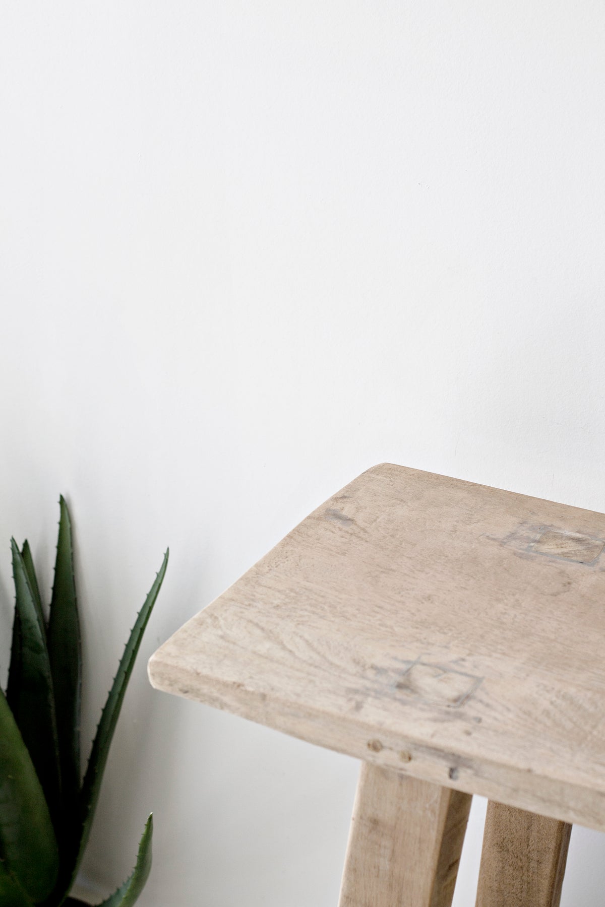 Angled close up of the recycled teak tabletop corner with a snake plant alongside