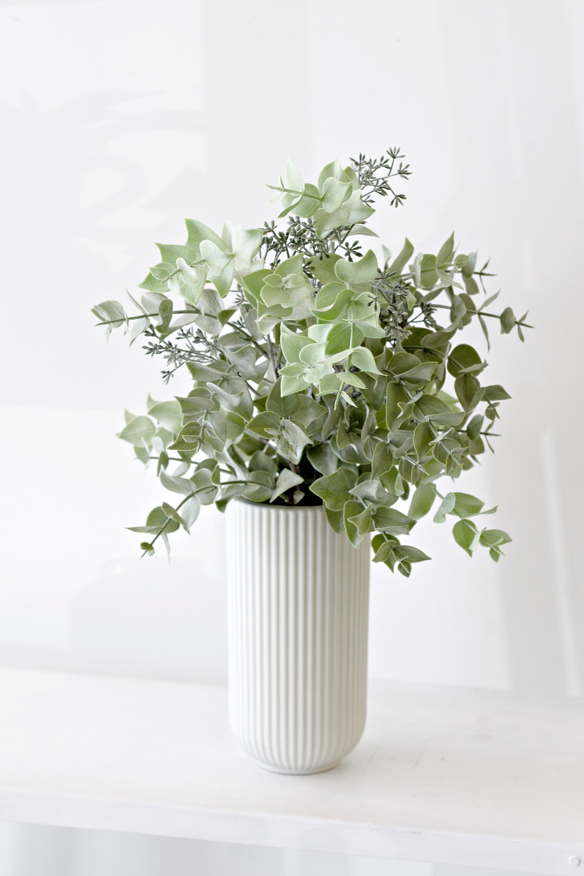 Faux seeded eucalyptus in a ribbed white vase by a window
