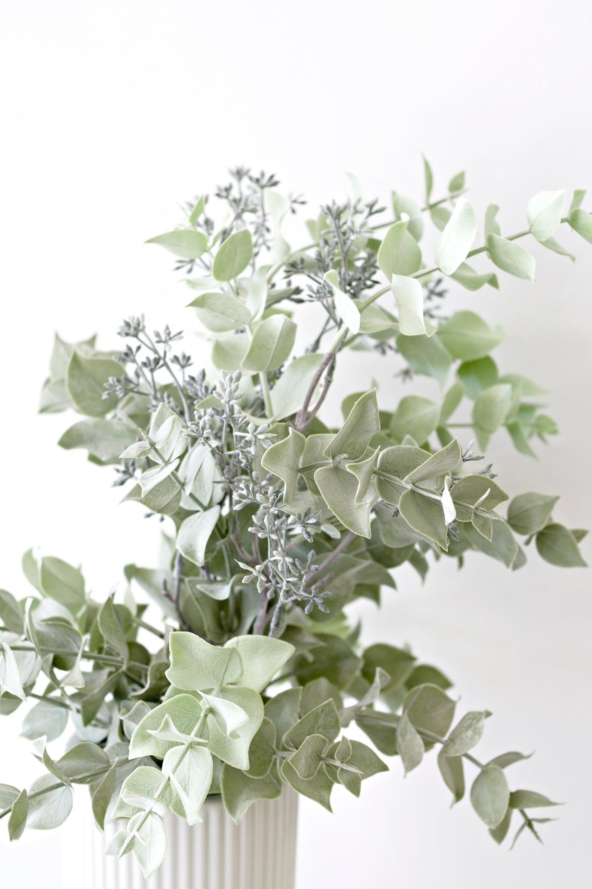 Faux seeded eucalyptus stems fanned out against a pale wall