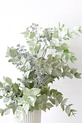 Seeded Eucalyptus Bundle 61cm (3 Stems Tied)