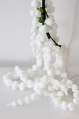 Amaranth Stem - Green / White
