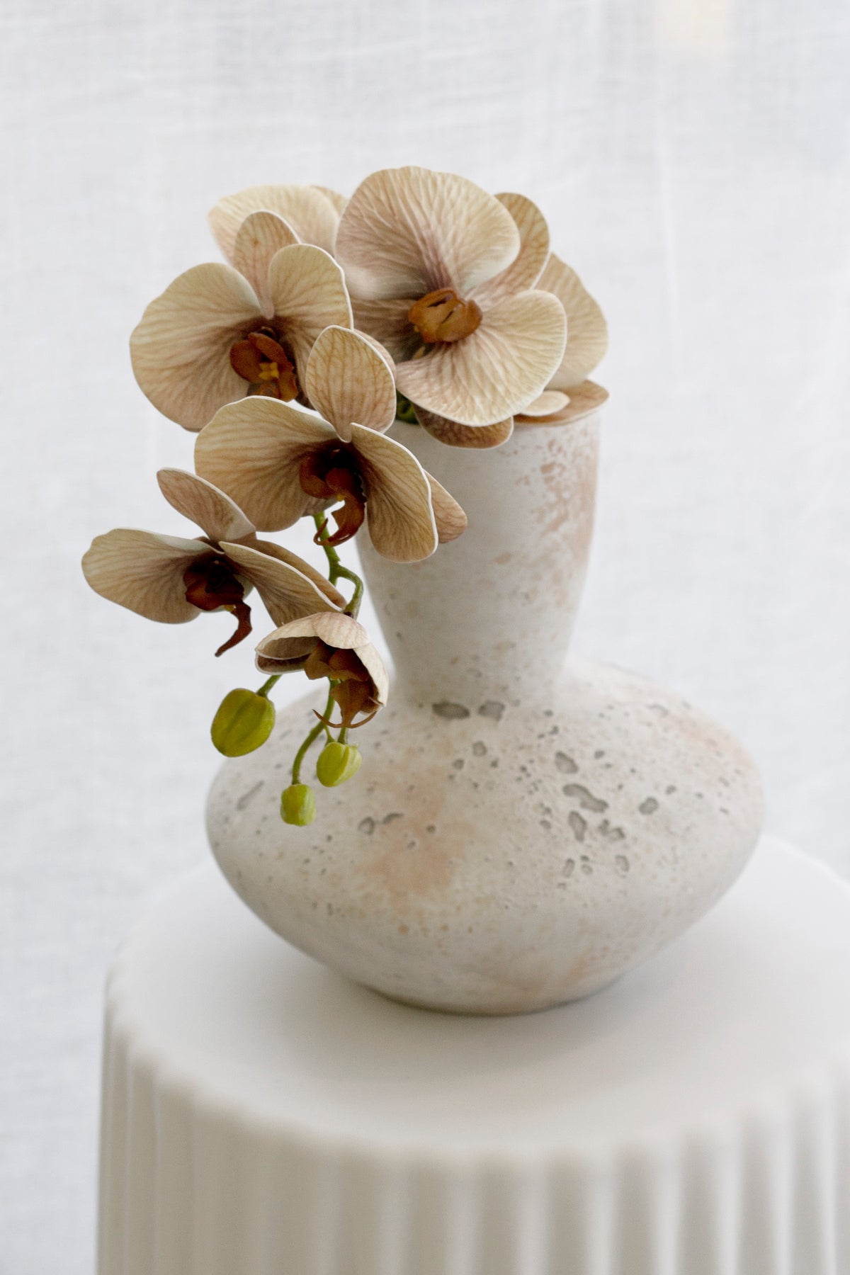 A deeper beige orchid in a small speckled gourd vase on a fluted white plinth