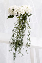 Hanging Rhipsalis – 84cm Real Touch Trailing Plant