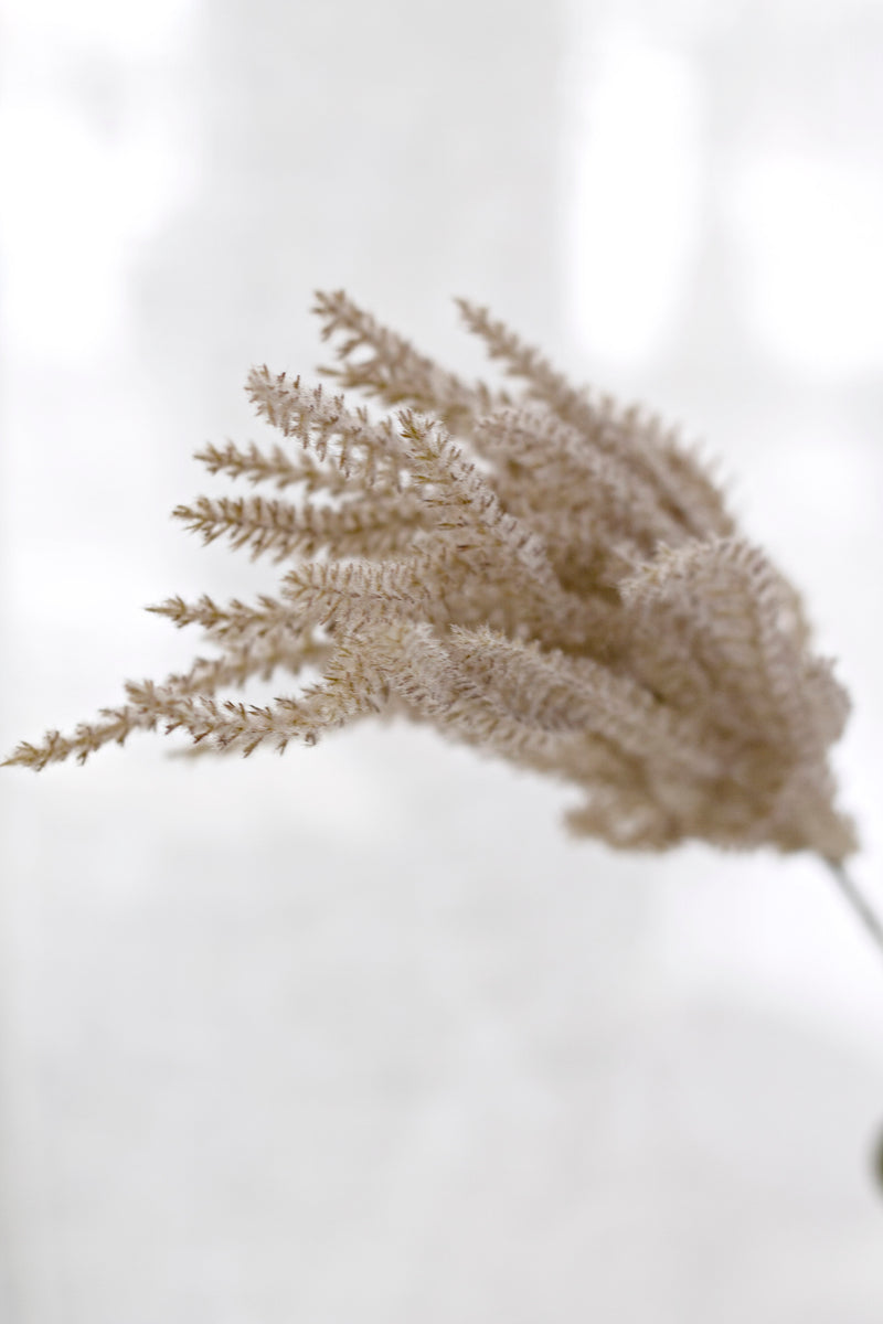 Common Reed Grass Spray – Faux Botanical Stem, 81cm