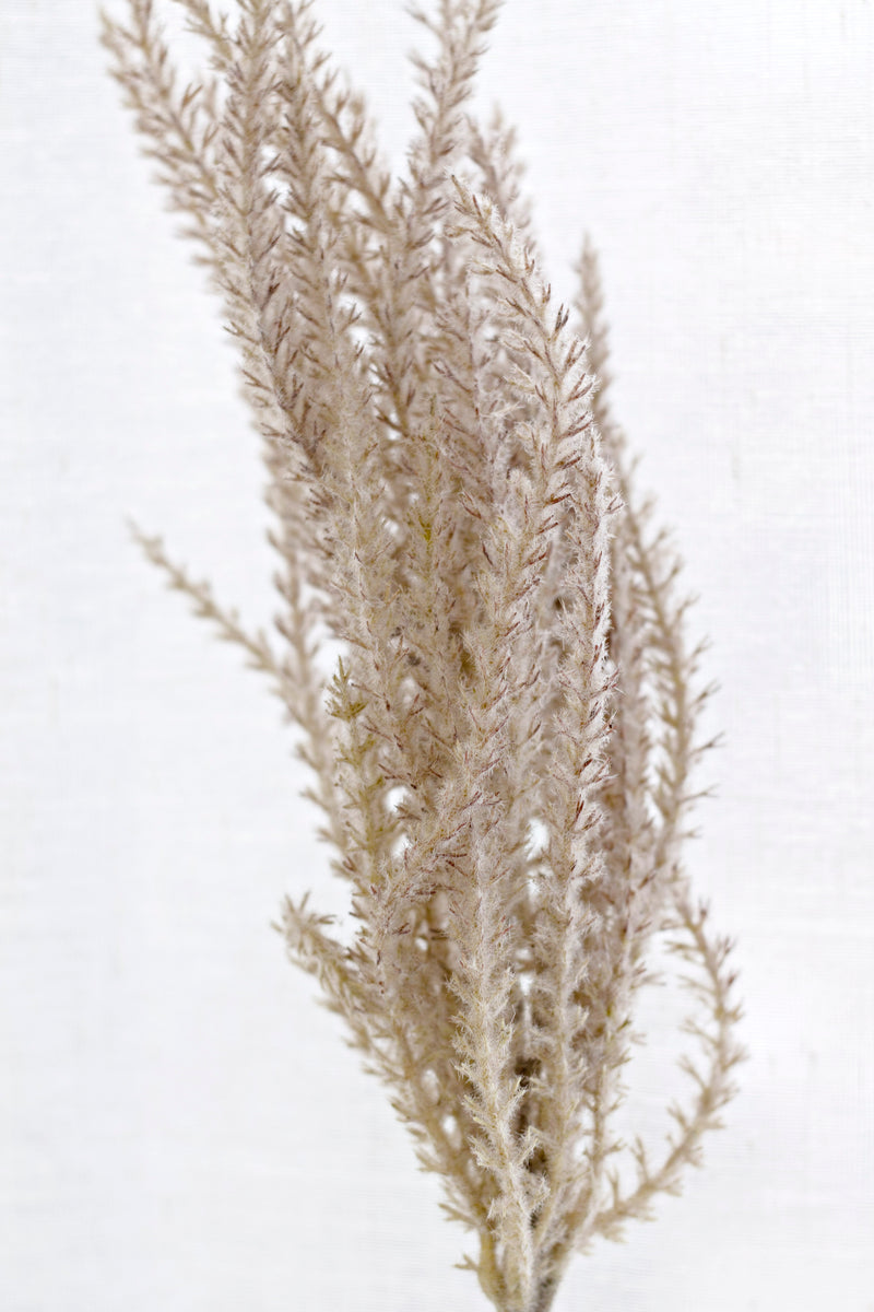 Common Reed Grass Spray – Faux Botanical Stem, 81cm