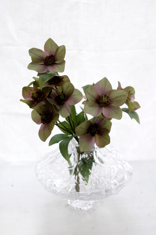 Hellebore Spray - Various Options