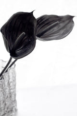 Black Anthurium Stem – Sculptural Faux Flower for Modern Styling