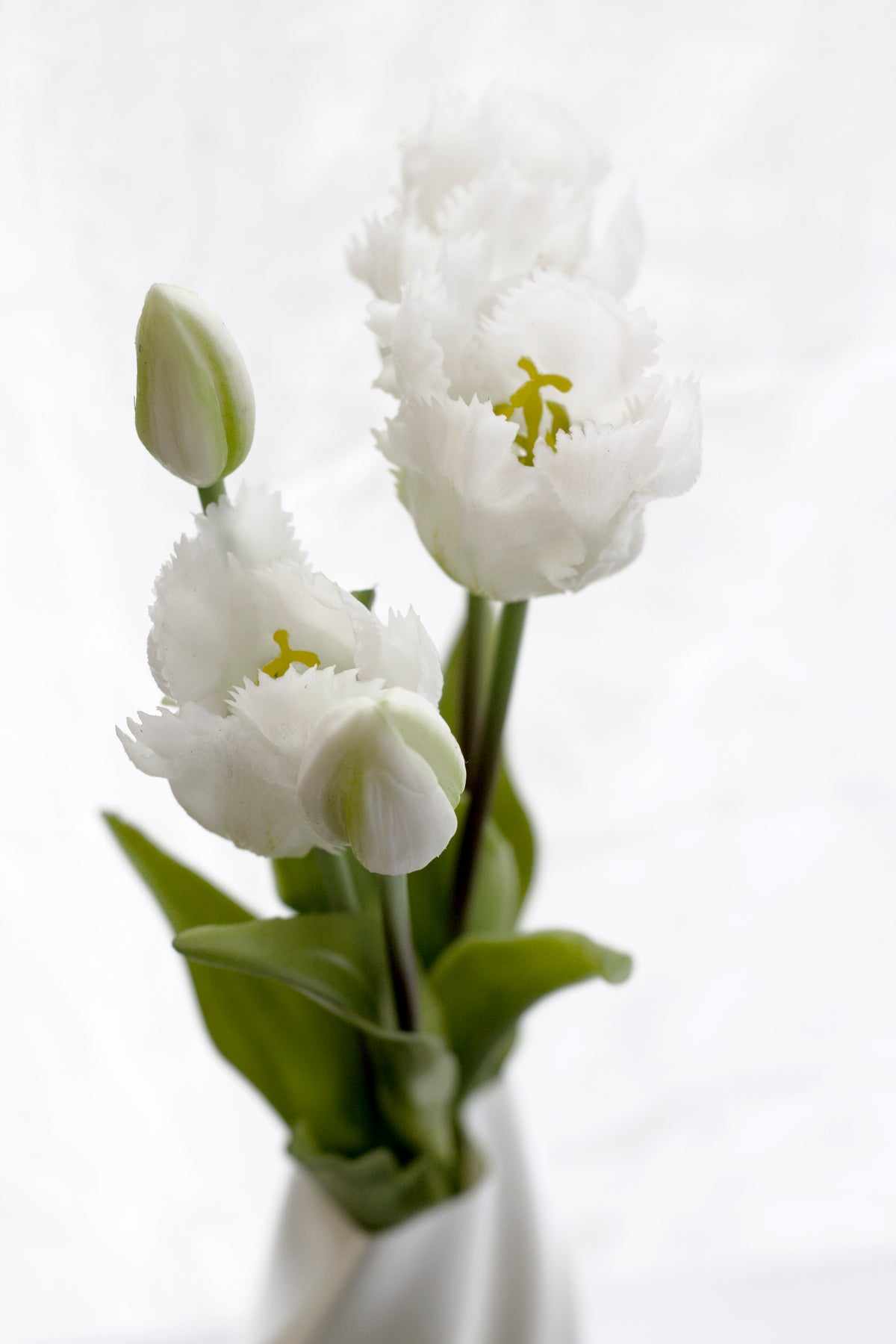 White Parrot Tulip Bunch, Set of 5 Faux Ruffled Heads