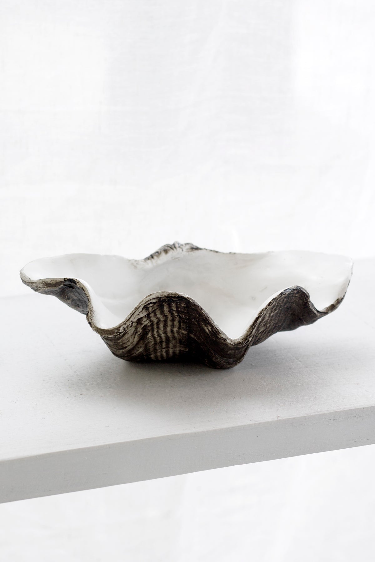 Resin clam shell dish sitting alone on a white ledge against a plain wall