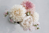 Pom Pom Dahlia - Cream