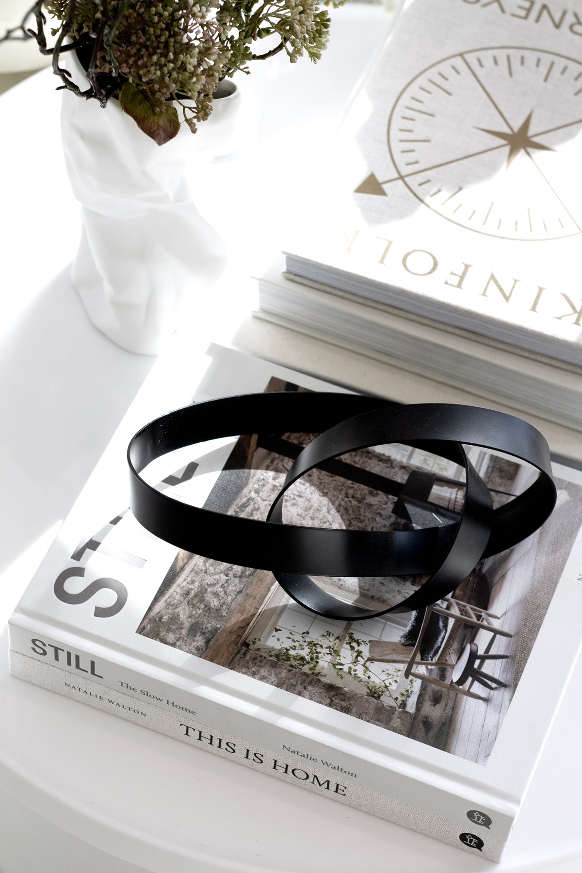 Black Infinity Loop sculpture on a stack of coffee table books beside a small potted plant