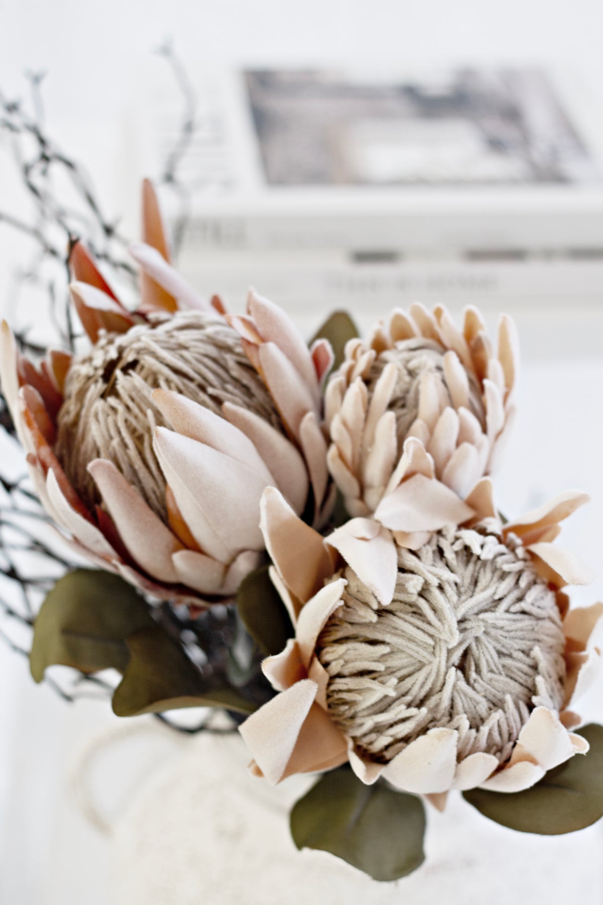 Dried Protea Stem, Peach or Pink 61cm Faux Bloom