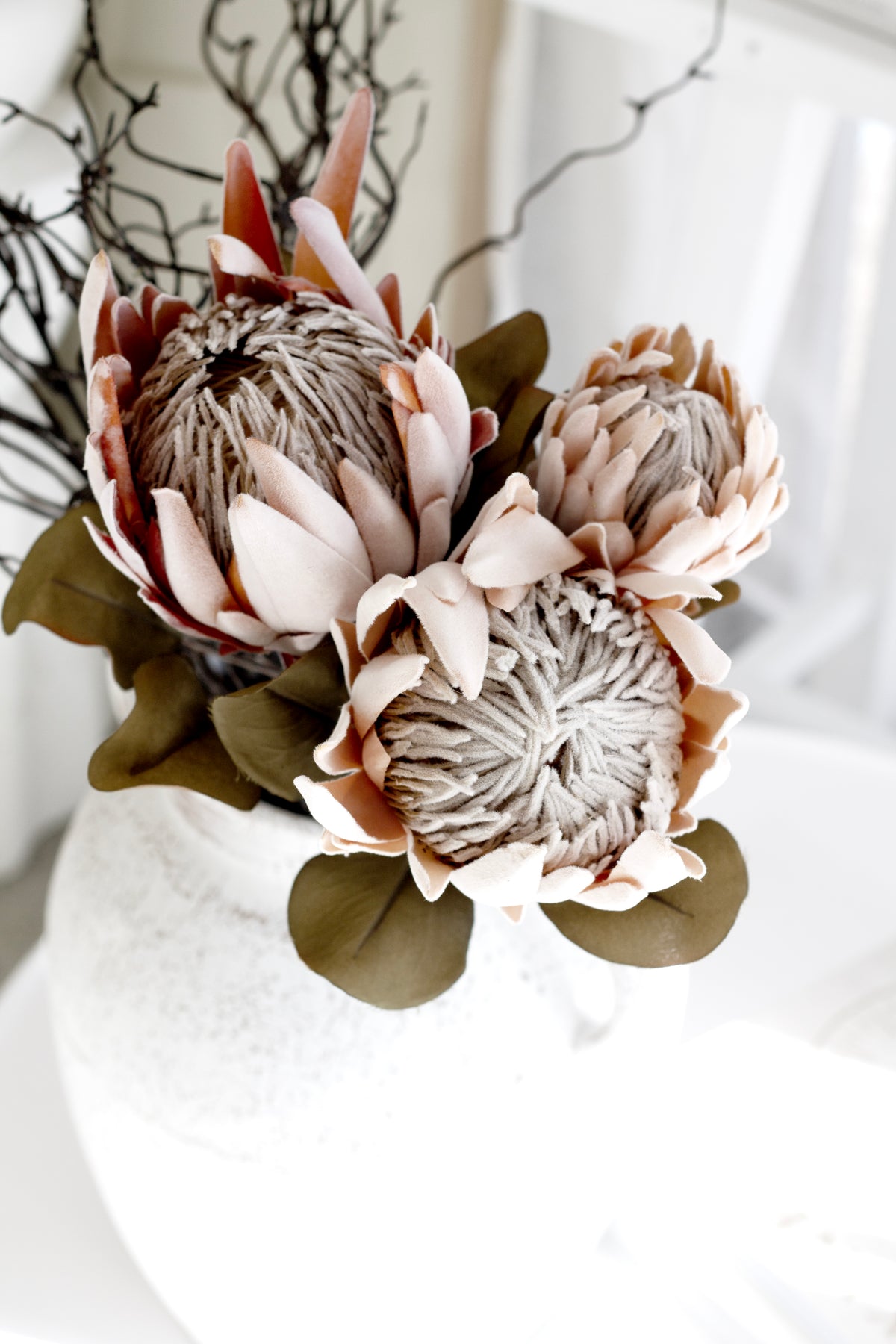 Dried Protea Stem, Peach or Pink 61cm Faux Bloom