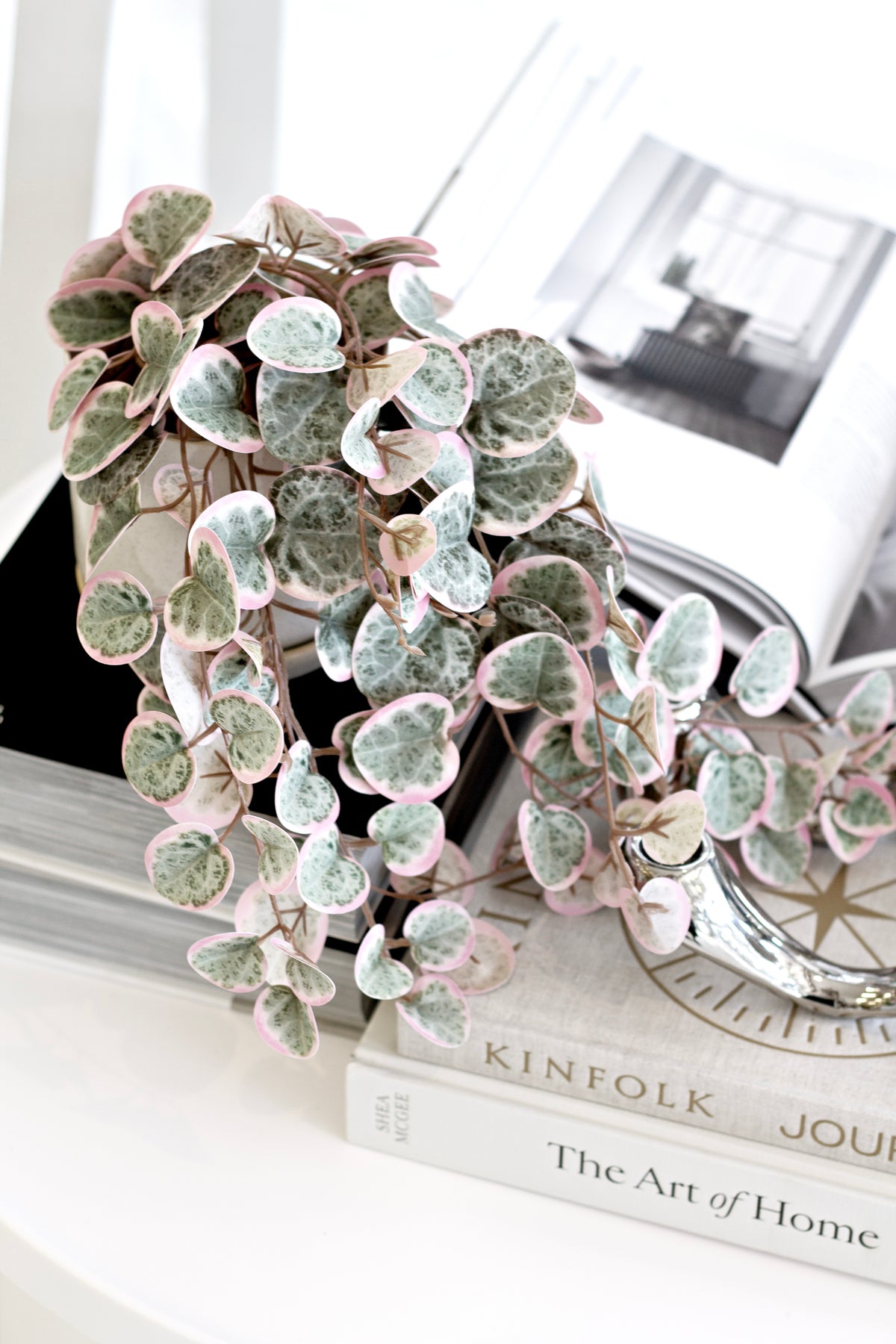 Faux variegated string of hearts draped over a stack of Kinfolk and interiors books