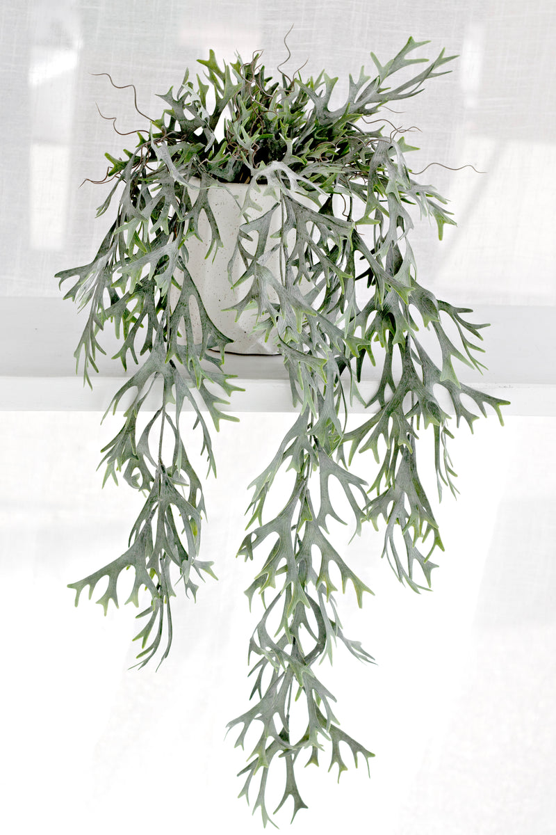 Artificial Hanging Staghorn Bush – Trailing Greenery, 81cm