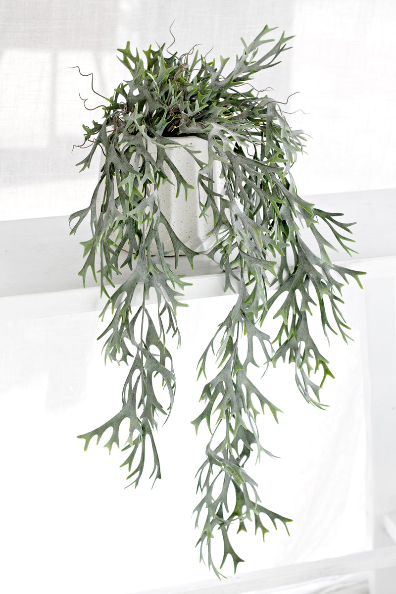 Artificial Hanging Staghorn Bush – Trailing Greenery, 81cm