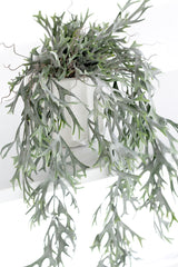 Artificial Hanging Staghorn Bush – Trailing Greenery, 81cm