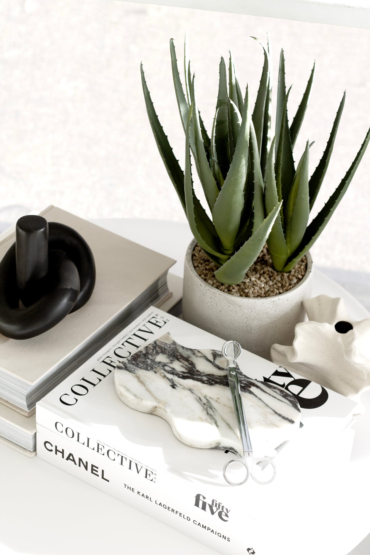 Collective Issue 55 stacked under an aloe in a white pot, a black ceramic and scissors