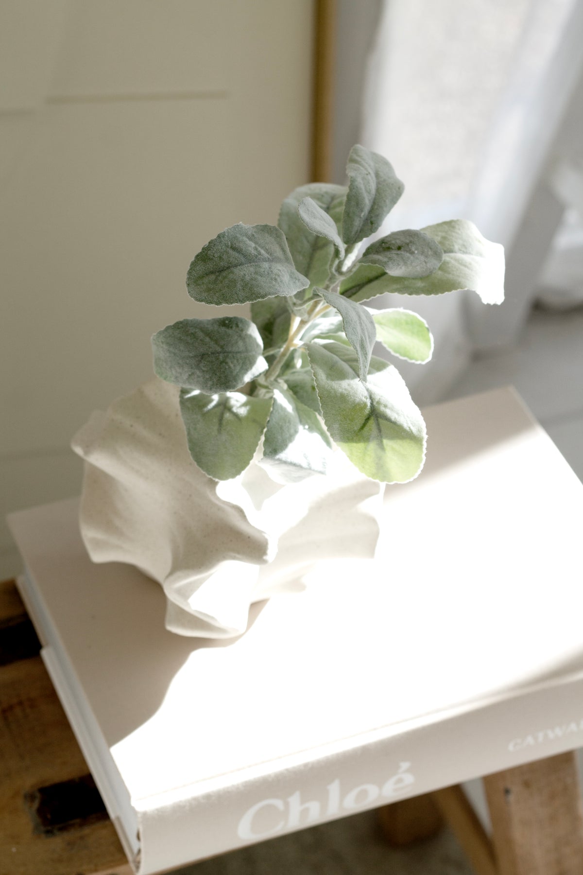 Lamb's Ear, 35cm Grey-Green Faux Foliage
