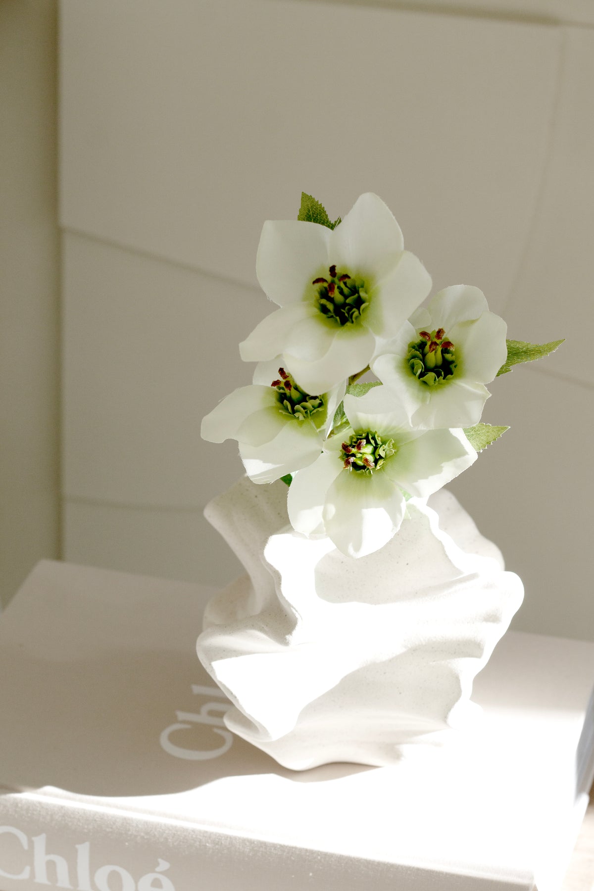 Green centred white blooms in the coral vase on a white plinth in bright daylight