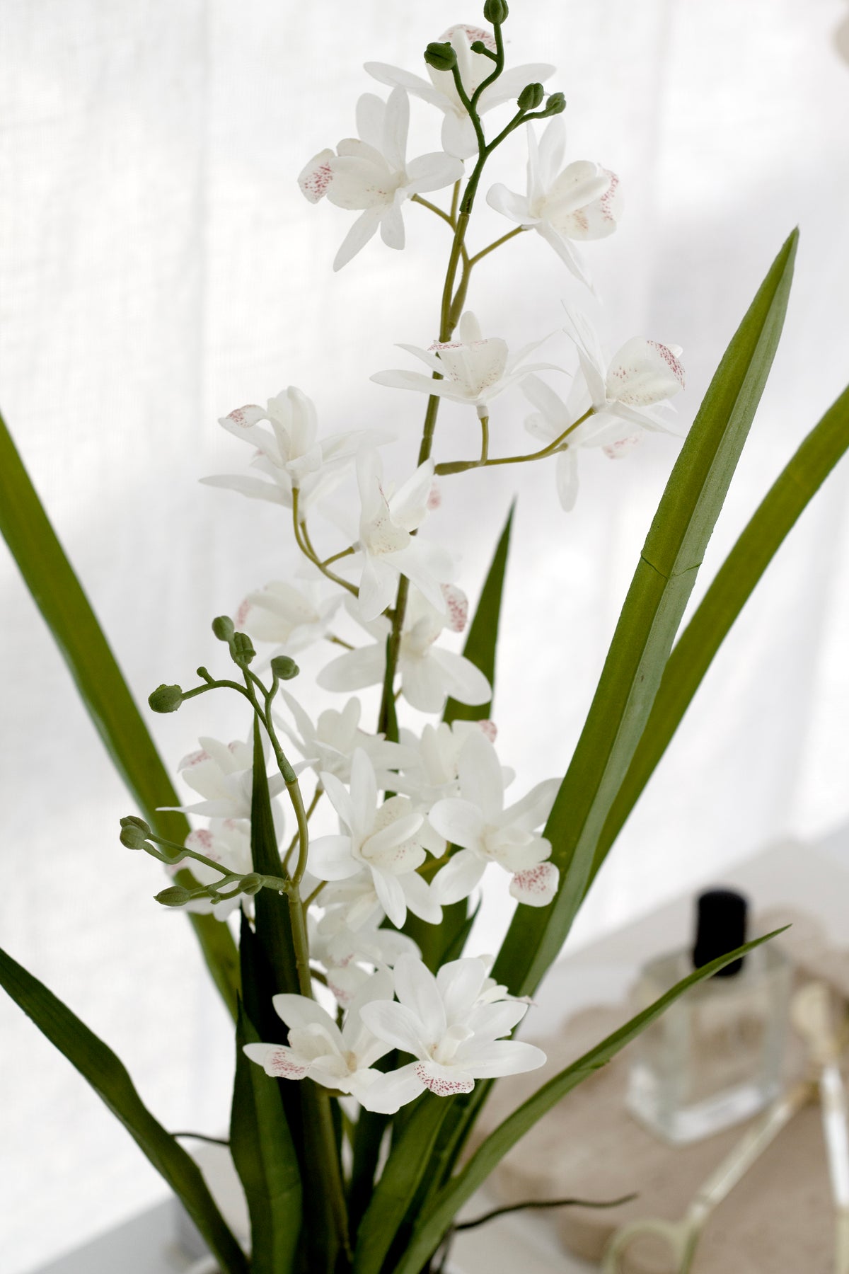 Cymbidium Orchid in Ceramic Pot, White 55cm Faux Plant