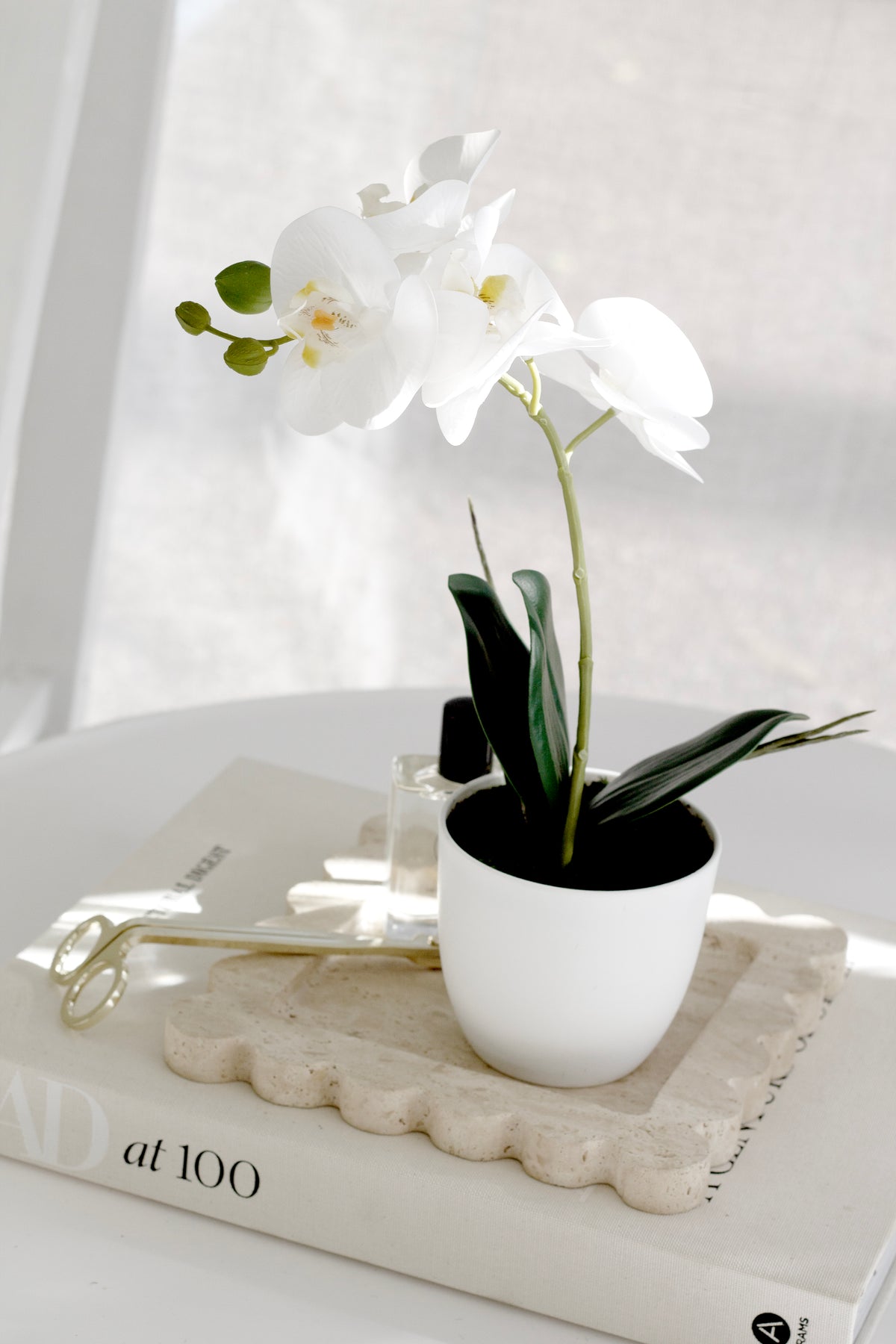 White orchid in a white pot on a scalloped tray atop a stack of books