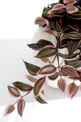 Wandering Dew Lilac Hanging Bush – 183 Leaf Faux Plant Stem
