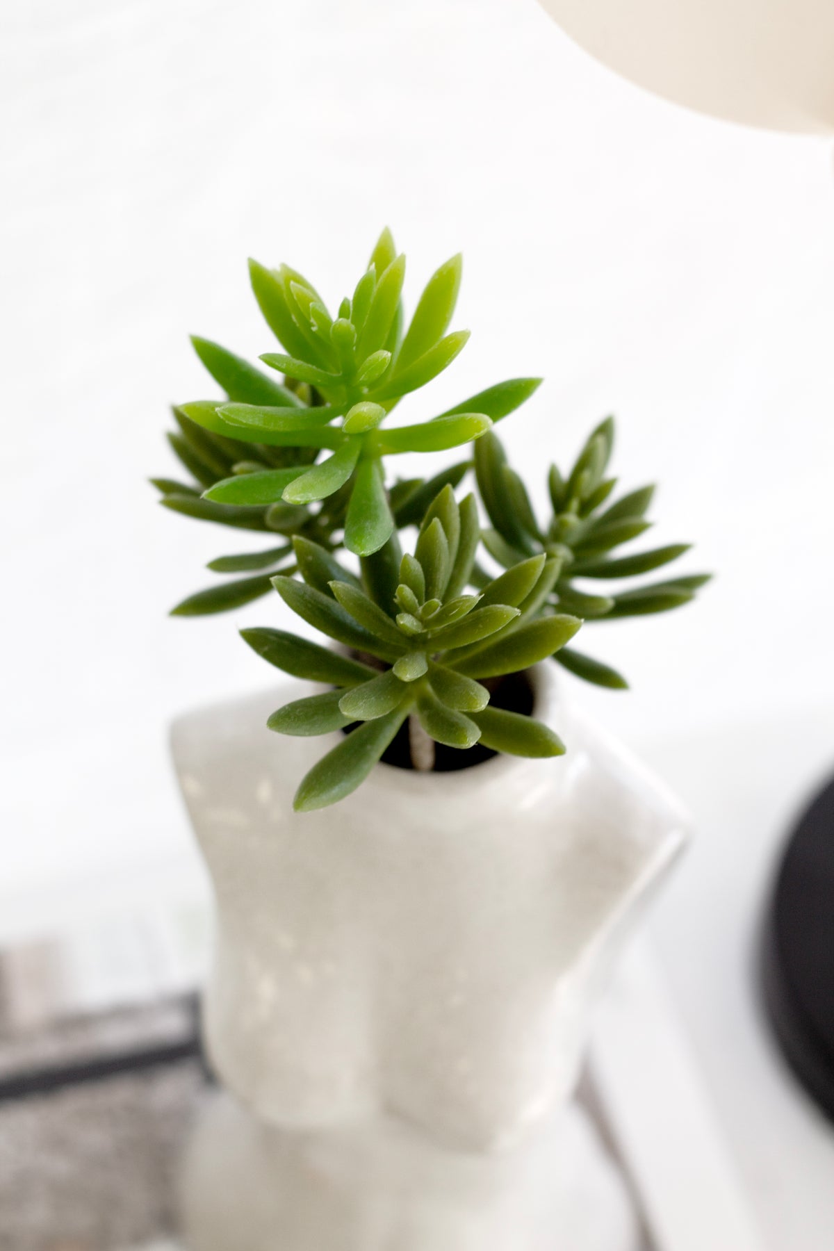Echeveria Pick, Green 28cm Lifelike Faux Succulent