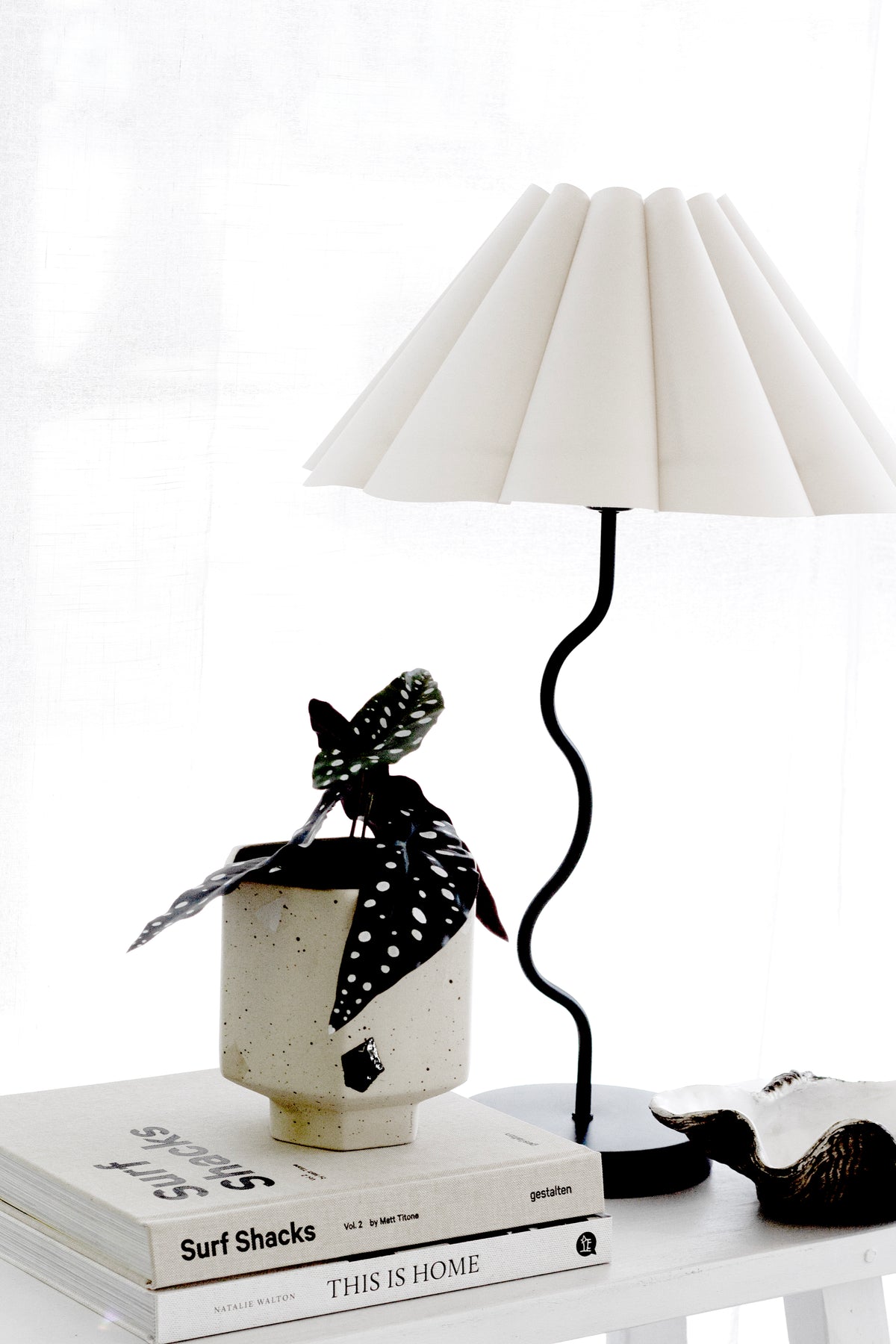 Surf Shacks Volume 2 on a book stack with a potted begonia and a pleated lamp